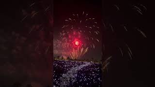 Saudi Arabia Flowers festival 🌺🌹 Ceremony Crackers Bursting 💥🤯🤯🔥