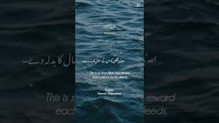 Surah Ibrahim#quranictranslation #allahuakbar #rightpath #comebacktoallah