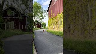 Day in the familylife in Finland 🇫🇮 #dayinmylifevlog #shortvlogs