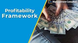 The Profitability Framework