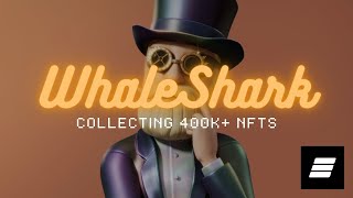 Meet WhaleShark: The Collector With Over 400,000 NFTs | Edge Of NFT