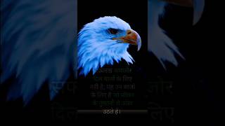 “Tufaano Se Upar Uthne Ka Jazba💪🦅”#MotivationHindi✅ #NeverGiveUp✅ ✅#HardWorkPaysOff