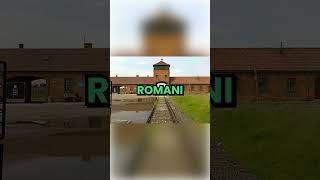 Auschwitz Concentration Camp #historydocumentary #facts #historyshorts  #ww2 #history #tragedy
