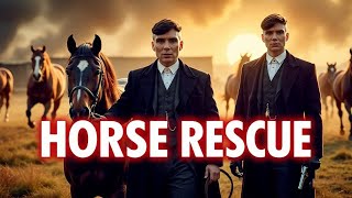 Arthur & Tommy Risk Everything to Save Horses from an Illegal Auction