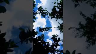 Iktara song WhatsApp status|Full screen|#shorts #nature