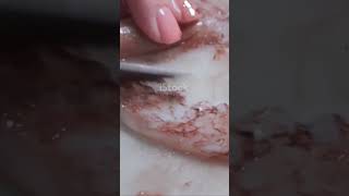 “Aise Human Body ke raaz jo sabko shock kar dein!😱#facts #humanbody #jankari #shorts #amazingfacts
