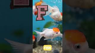 ABC Animals For Kids Shorts Version  #animaleducation #abcanimals