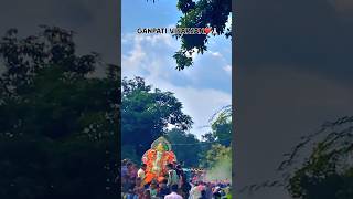 Ganpati visarjan mini vlog 🙏 #videoshort #minivlog #ganpativisarjan