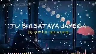 Tu Bhi Sataya Jayega - Vishal Mishra [Lofi Mix] (Slowed Reverb) | Indian LOFI Song x Remix