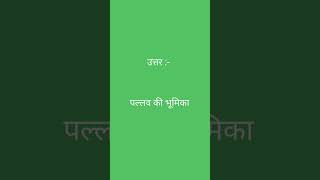 Hindi question answer, 21 #exams #hindi #hindiquize #hindifacts #sschindi #trendingreels