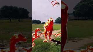 Big dinosaurs. Child dinosaur. #bahubali2 #southnewmoviesinhindi #funnyshorts #comedyvideo #dinosaur