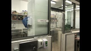 Clean As You Go Procedure And How Bacteria Survives Causing Food Poisoning