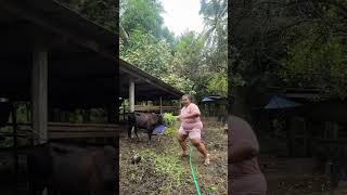 this is so relative 😂 #gotaonly #tiktok