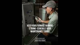 Why Choose Go Furnace for Furnace Maintenance and Tune-Ups?
