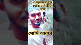 সৌদিতে খরগোশের জন্য ঘাস কাটলেন প্রবাসী #shorts #youtubeshorts #short #trending #shortsvideo