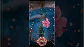 New Year Love Status | Love status #2024 #newyear2024 #lovestatus2024 #lovesong #love #ex_soullover