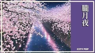 朧月夜　|　(City Pop)