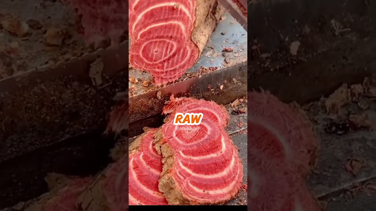 サムネ