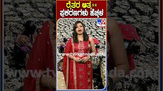 ರೈತರ ಆತ್ಮ** ಪ್ರಕರಣಗಳು ಹೆಚ್ಚಳ! #Farmers #TV9D