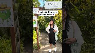 🇷🇪🦎un truc cool à faire le dimanche à la Réunion !!  #travel #lifeinfrance #vlog