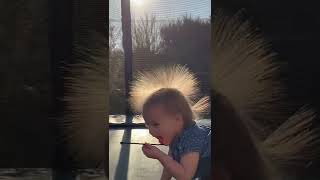 Baby Hair Gone WILD 🦁#funnybabyvideo #americansingermany