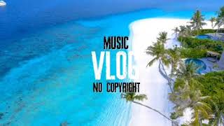 Free Music Background for Vlog MBB-PalmTrees(Music Vlog No Copyright)