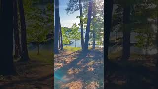The path from Sunset Hideaway, to its private dock on Lake Hartwell. #lakehartwell #visitandersonsc