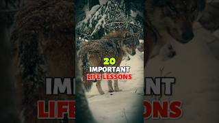 20 important life lessons #shorts #lifelessons #trending #motivation