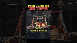 PTSD 구조견을 위한 가짜 구조작전