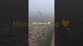 Misty Morning #mistymorning #itssosweet #ilikethis  #itsmemororableday #itsmymemorableday