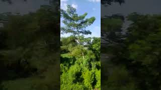 #সেরাগজল ❤️🌹🌹