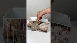 こんな美しいものがただの箱から出てきたなんて信じられない！#DIYMagic #CraftJoy #StorageHack #DecorLove #diy