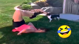 TRY NOT TO LAUGH 😂 Best Funny Videos Compilation  🤣😂 №37