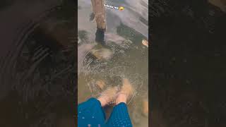 🥳🥳🤯🫶follow me #dharokolkimarotan #newbangladeshiviralsong2022 #lovingsong