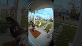 28 октября 2025 г.