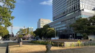 iPhoneのblackmagic cameraアプリで栄を撮影してみた