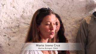 Culture and Whale Heritage Sites