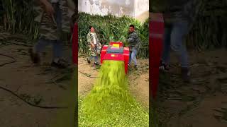 मशीन इतनी दमदार है लोहे के सरिया भी काट देगी । Chaff cutter machine | kutti kaatne ki machine |