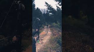 Montana Shiras 3 yards.mp4