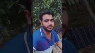 Bisnu official. 200#lovemusic #pagolhasanlyricsvideo #pagolhasan #toregolarmadulibanaimu