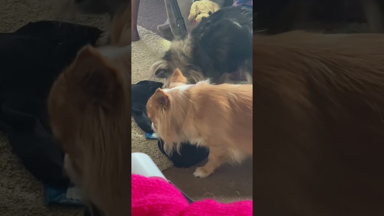 サムネ