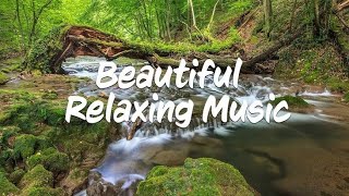 Mind Relaxing Music 🎶 #mindrelaxing #healingsounds #freshmindmusic #slowedandreverb #chillmusic