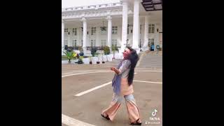 আইলারে নয়া দামান্দ / sylheti song / Tosiba/Muza