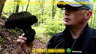 The New Professional 3D Ground Scanner OKM eXp 4500 detector