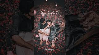 Manoparakata(මනෝපාරකට) Mind Relaxing Sinhala Songs 🌿🌺🌿#shorts #songs #sinhala songs