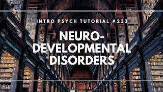 Neurodevelopmental Disorders (Intro Psych Tutorial #233)