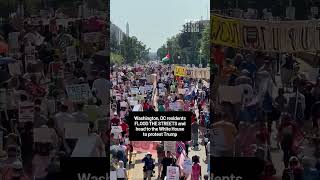 Washington, DC residents FLOOD THE STREETS and head to the White House to protest Trump