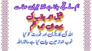 ham ne tujhe Jana h faqat Teri ata se || ہم نے تجھے جانا ہے فقط تیری عطا سے