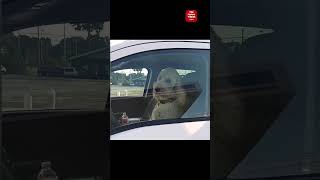 #funny  #funniestvideos  #funnyoffical #youtubeshorts