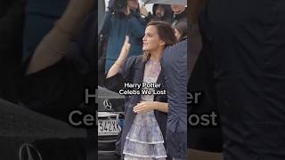 No Hogwarts without them! 😢🥺🕊️#harrypotter #dumbledore #hermionegranger #snape
